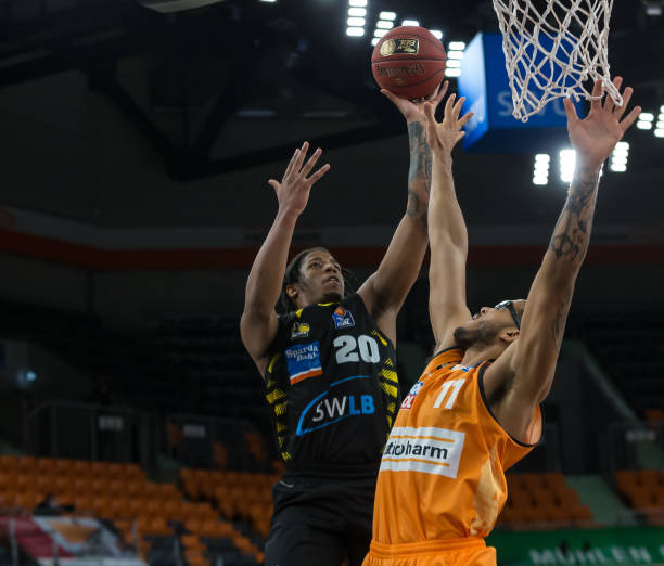 比利时主帅 比利时主帅